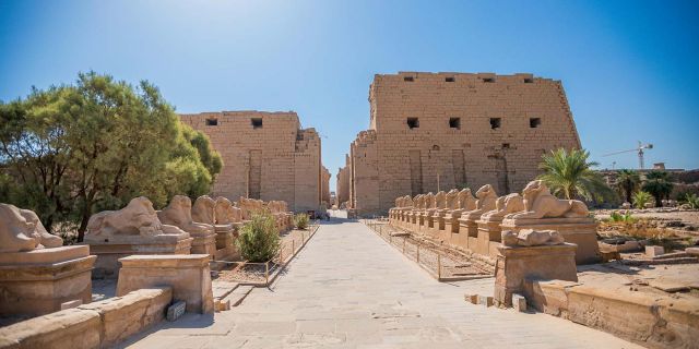 Avenue of sphinxs