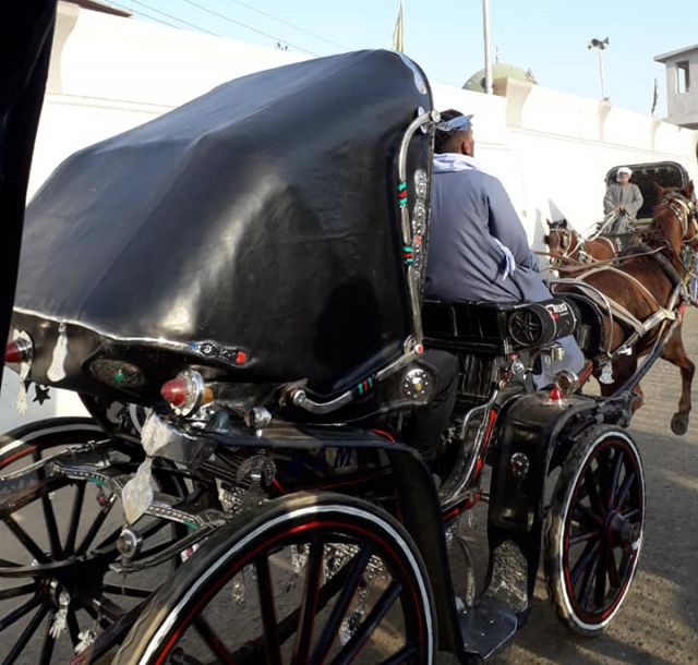 Horse Carraige